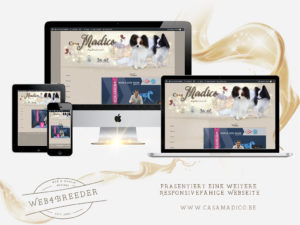 webseite casamadico papillons 300x225 - Website-Layouts