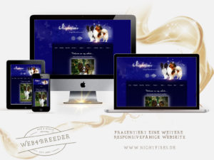 webseite nightfires papillons 300x225 - Website-Layouts