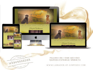webseite 2020 Labradorzucht 300x225 - Website-Layouts