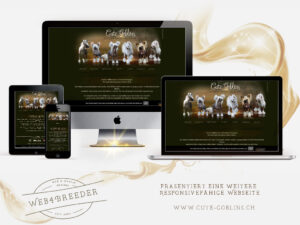 website Chinese Crested2 300x225 - Website-Layouts